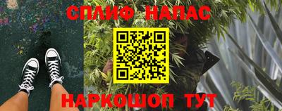 Альфа ПВП Обь