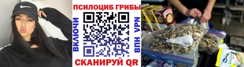 Псилоцибиновые грибы Psilocybine cubensis  Чайковский 