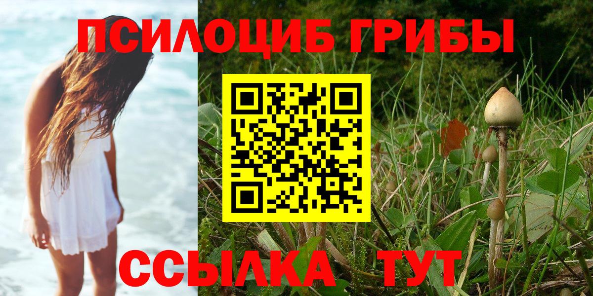 Псилоцибиновые грибы мицелий  Вход с VPN  Чайковский  Псилоцибиновые грибы мицелий 